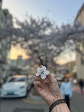 Meet your Posher, Tiktik